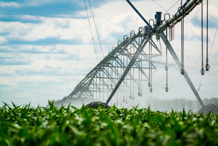 Large irrigation system watering a large field of plants