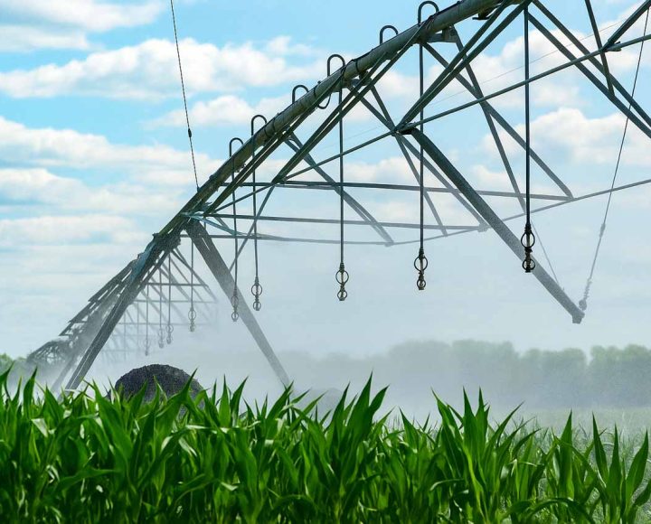 An expansive irrigation system with multiple sprinklers spraying water over rows of crops under a partly cloudy sky.